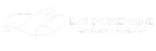 Luis Dorcemaine